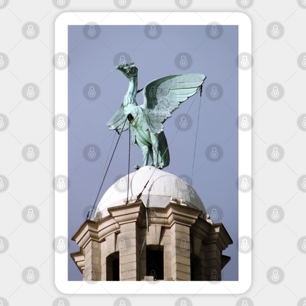 Liver Bird Sticker by AH64D